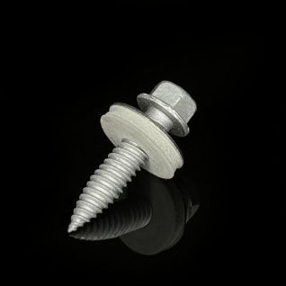 Bi Flex Screws Stainless Steel Self Tapping Screw 304/316