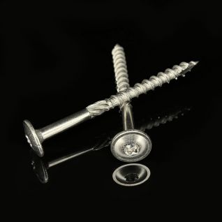 Stainless Steel 8 star Drive Torx Wood Screw